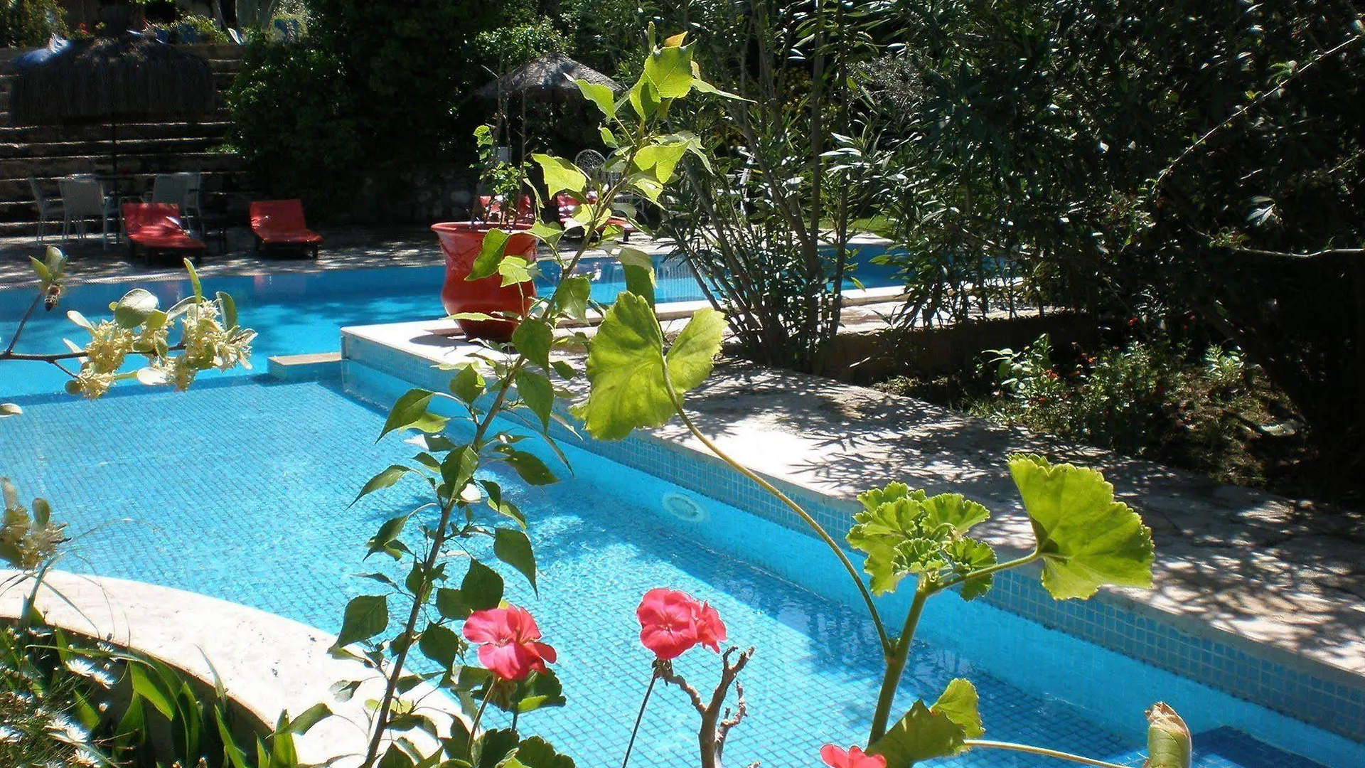 Bakkhos Guesthouse Kusadası 3*,