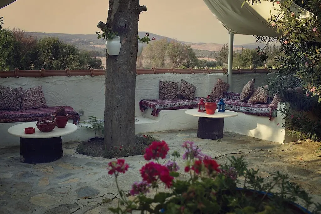 *** Pensjonat Bakkhos Guesthouse Kusadası Turcja