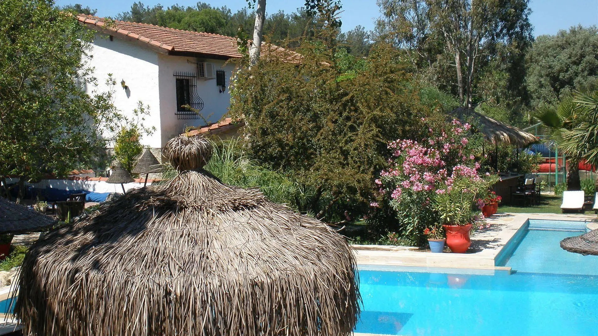 Bakkhos Guesthouse 쿠사다시 터키