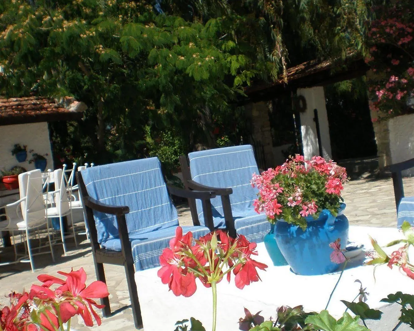 게스트하우스 Bakkhos Guesthouse 쿠사다시